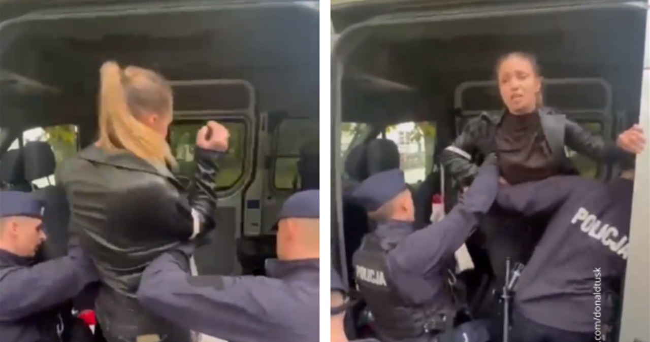 Kinga Gajewska wciągnięta do radiowozu. Policja: Nie będzie postępowania dyscyplinarnego