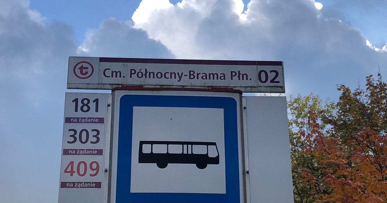 Specjalnymi liniami dotrzecie na warszawskie cmentarze