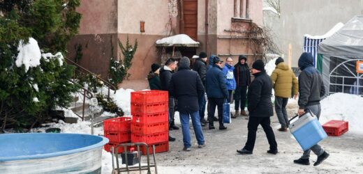 Ile zapłacimy za karpia w 2023? Hodowcy podają konkretne kwoty