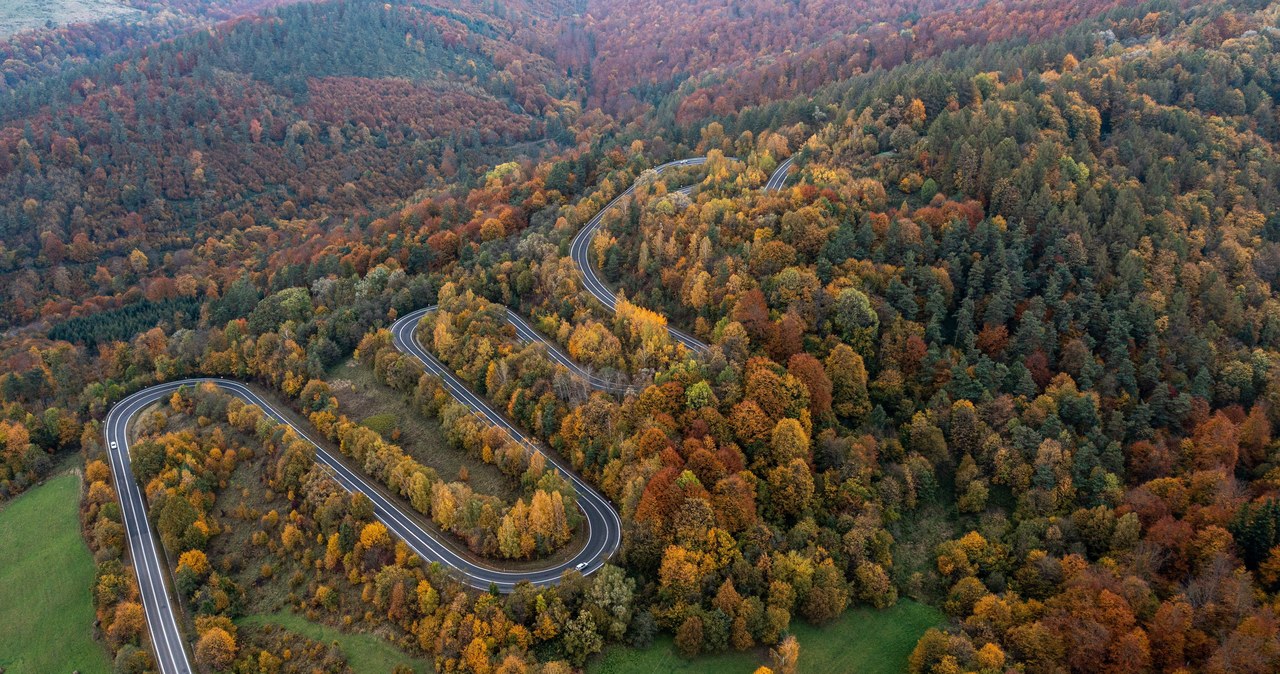 Nawet 20 stopni na koniec października! Najnowsza prognoza pogody