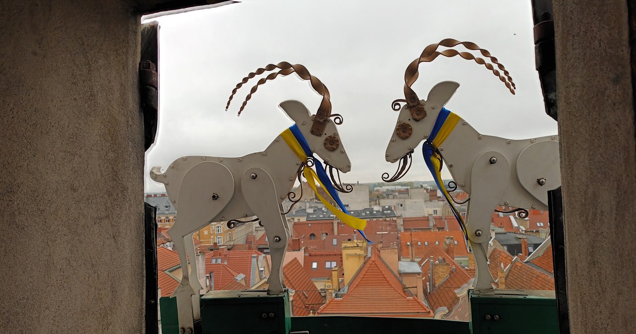 Zmiana czasu z letniego na zimowy. Poznańskie koziołki są gotowe