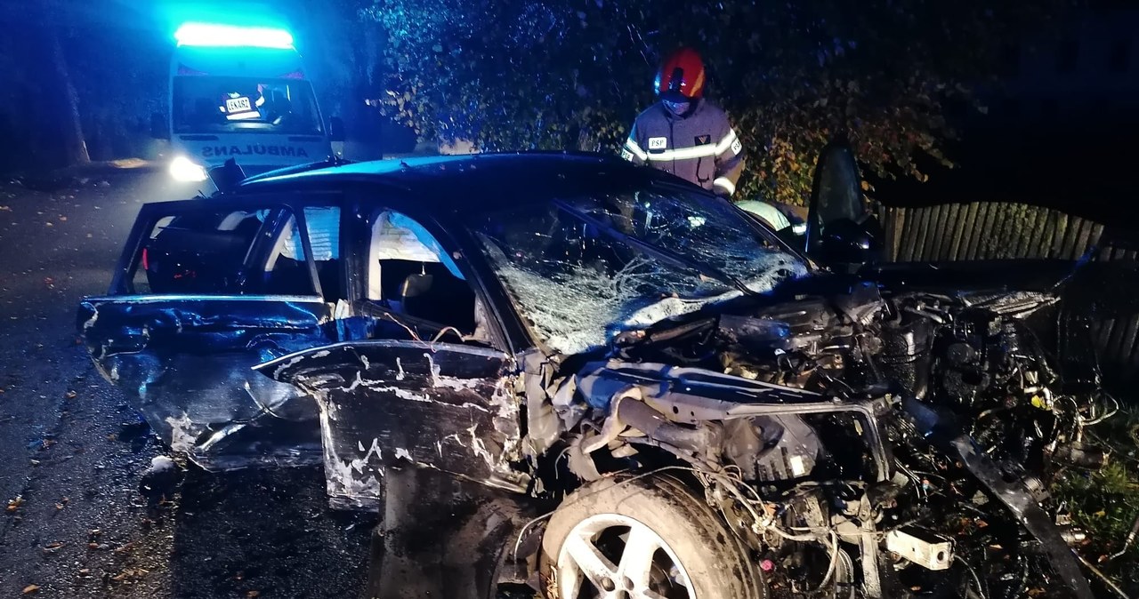 20-latek bez prawa jazdy wpadł w poślizg i uderzył w drzewo. Pięć osób rannych