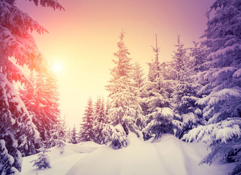 Jest prognoza pogody na Boże Narodzenie. Meteorolodzy mówią jasno