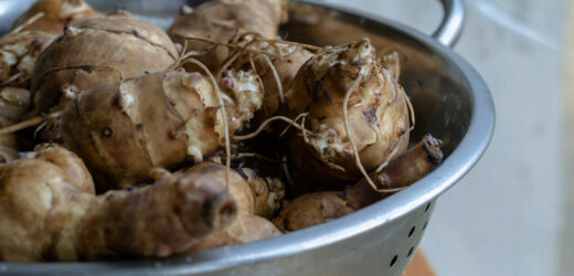 Nazywają go „zdrowszym ziemniakiem”. Pomaga schudnąć, obniża cholesterol, reguluje ciśnienie