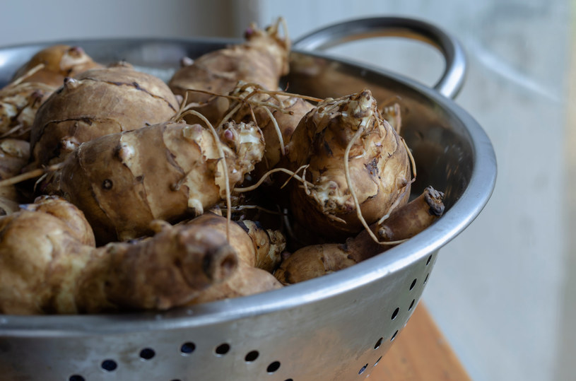 Nazywają go „zdrowszym ziemniakiem”. Pomaga schudnąć, obniża cholesterol, reguluje ciśnienie