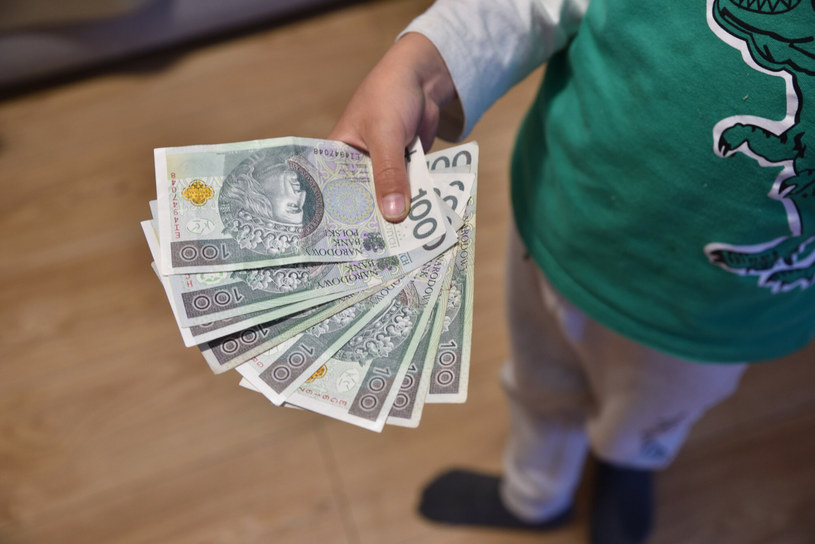 Ostrzeżenie przed fałszywą informacją w sprawie 800+. ZUS wydał komunikat