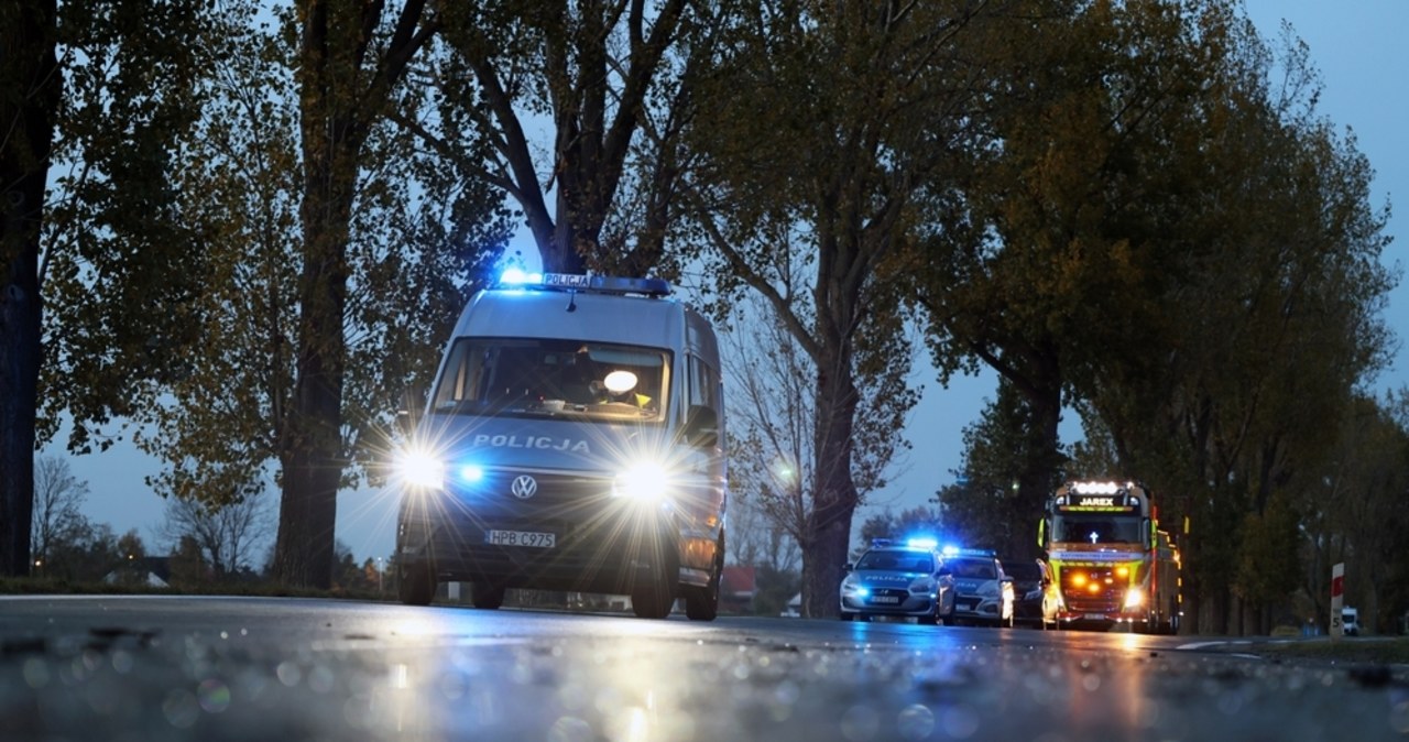 Drzewo spadło na samochód w rejonie Szczawnicy. Dwie osoby poszkodowane