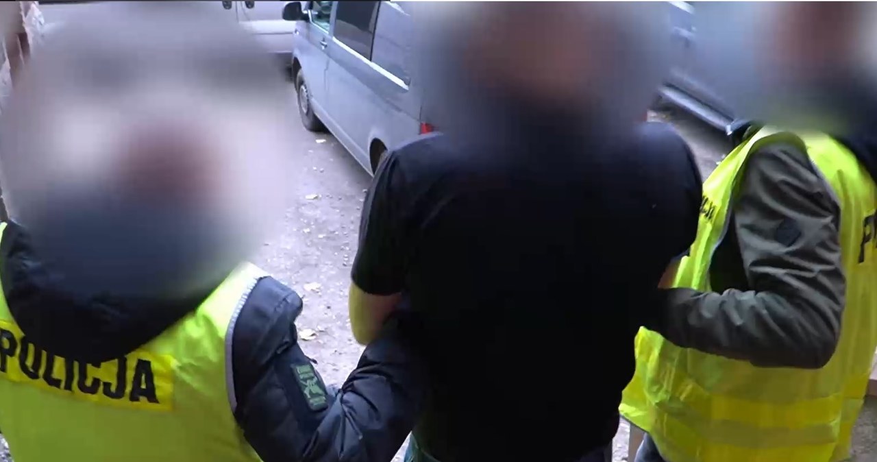 Bił, groził i kradł auta. 12 zarzutów dla 44-latka
