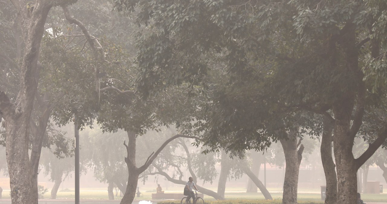New Delhi jak „komora gazowa”. Zanieczyszczenie powietrza 100-krotnie przekroczyło normę