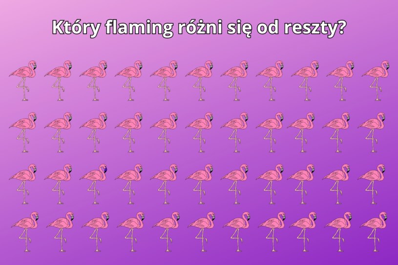 Test na spostrzegawczość. Mało kto jest w stanie zauważyć tę drobną różnicę