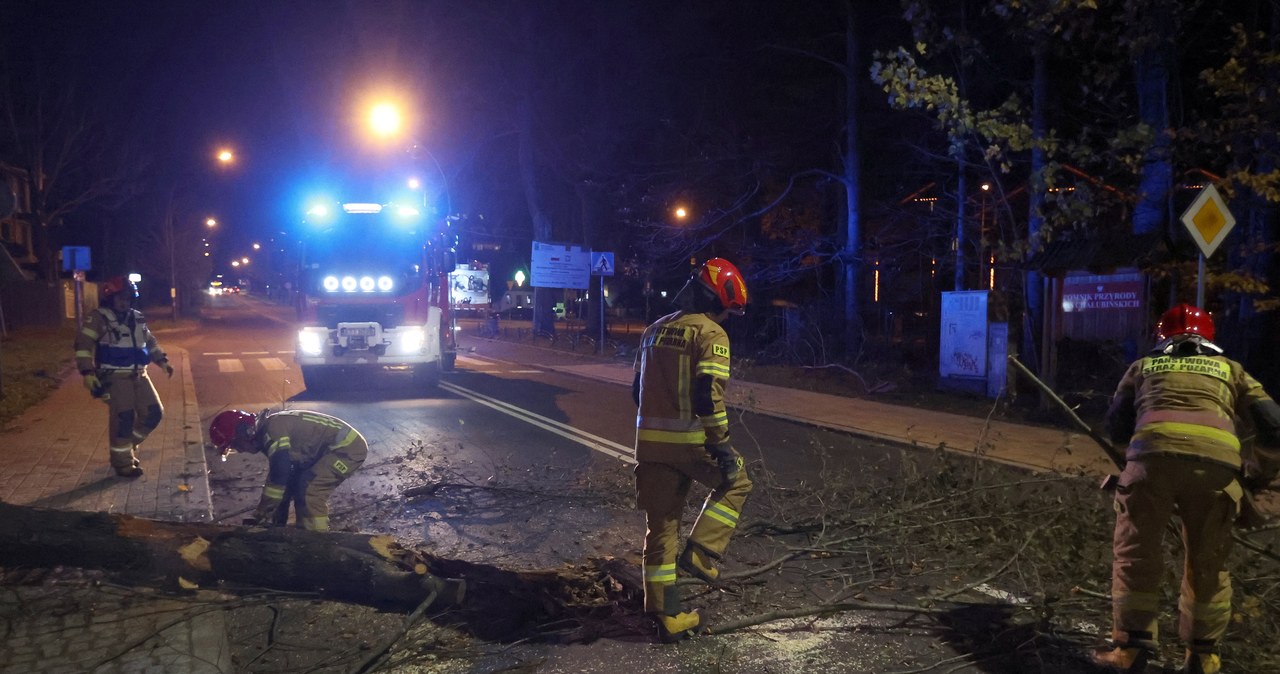 Wichury nad Polską. Karetka najechała na konar