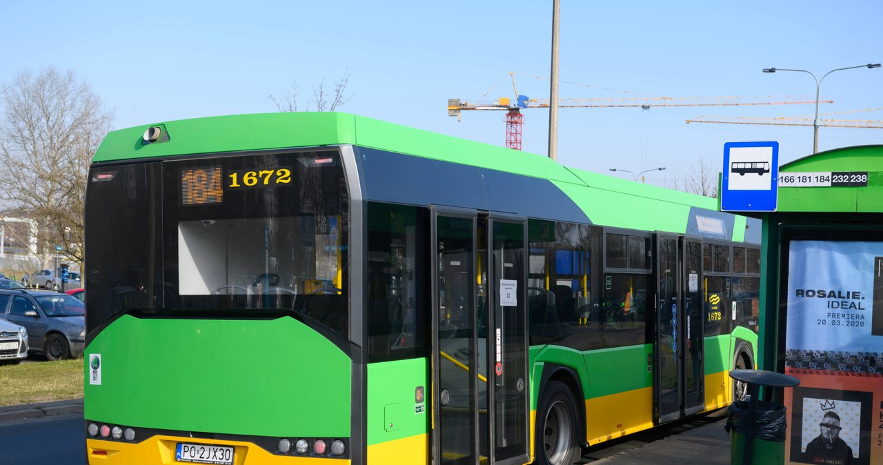 Praca od zaraz w poznańskim MPK. Chodzi o kierowców i motorniczych