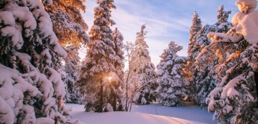Jeden region Polski powitał zimę. Miejscami leży 30 cm śniegu