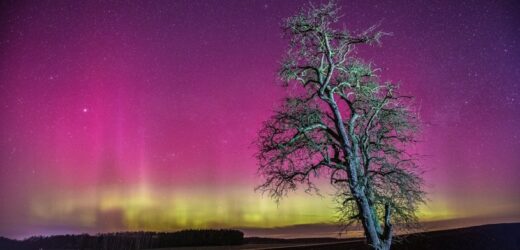Czerwono-purpurowa zorza polarna nad Polską. O czym świadczy jej kolor?