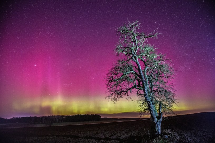 Czerwono-purpurowa zorza polarna nad Polską. O czym świadczy jej kolor?
