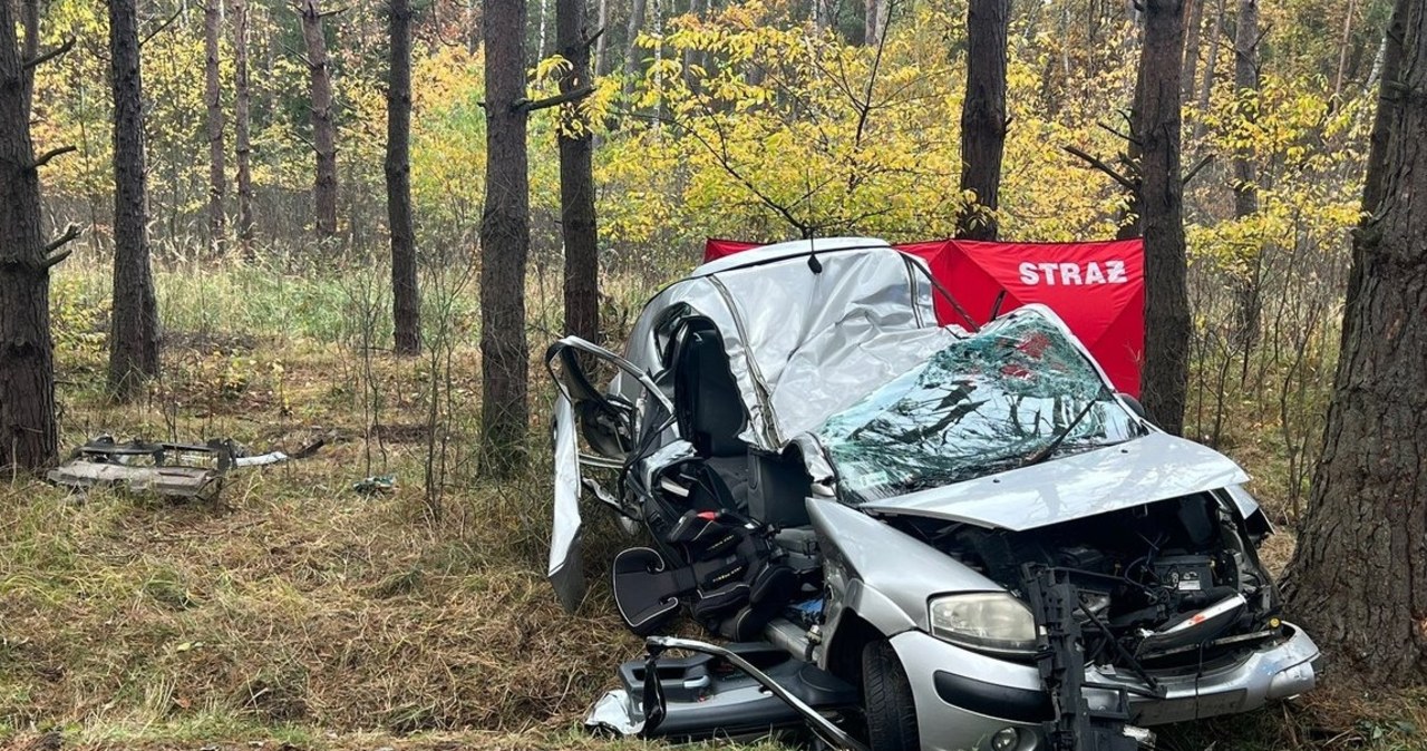 Tragedia koło Leżajska. 19-latka uderzyła autem w drzewo