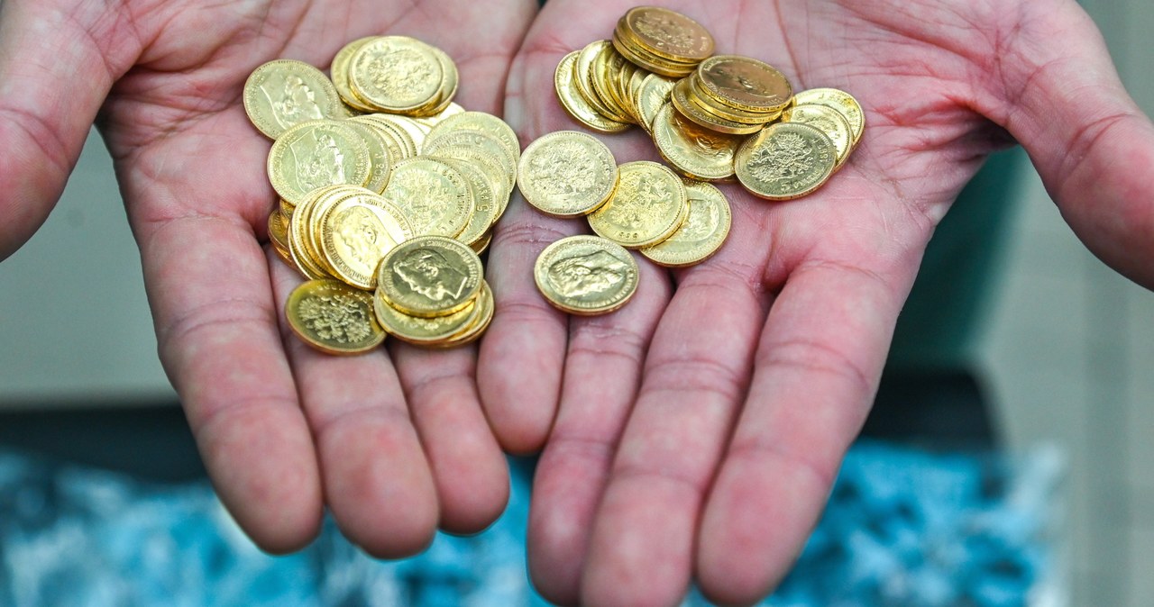 70 złotych monet odkryto w lesie koło Szczecina. „Dalej dochodzimy do siebie”