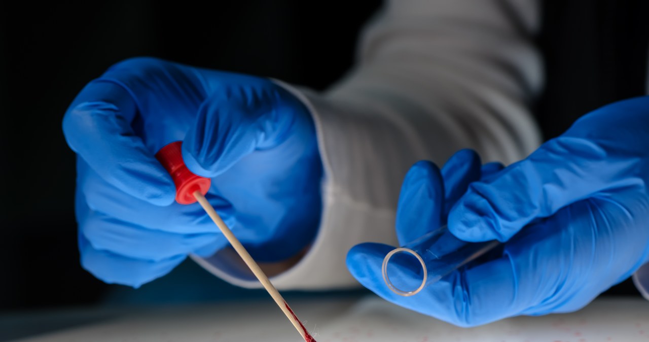 Wyrok za morderstwo. Próbki DNA ujawniły sprawcę zbrodni sprzed 20 lat