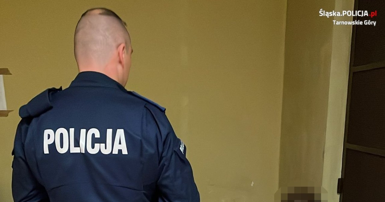 Trzech nastolatków napadło na sklep