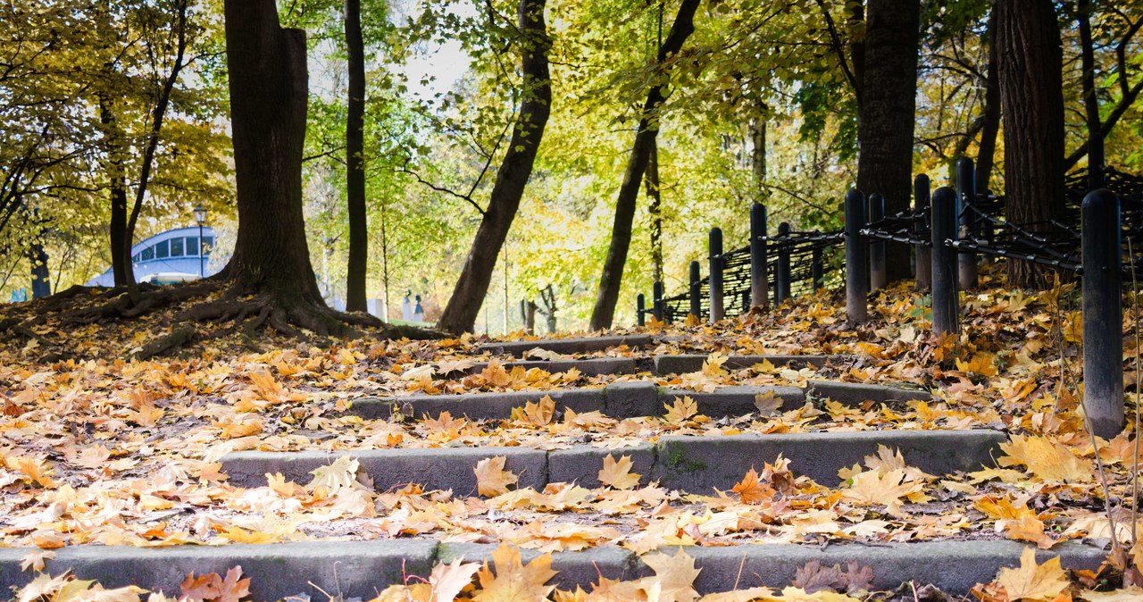 Deszcz, wiatr i zachmurzenie. Prognoza pogody na nowy tydzień