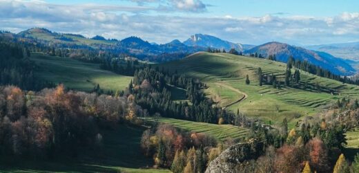 Małe Pieniny, wielka frajda. Odetchniesz od zgiełku i masy turystów