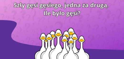 Test IQ dla bystrzaków. Ile było gęsi? Podchwytliwe pytanie