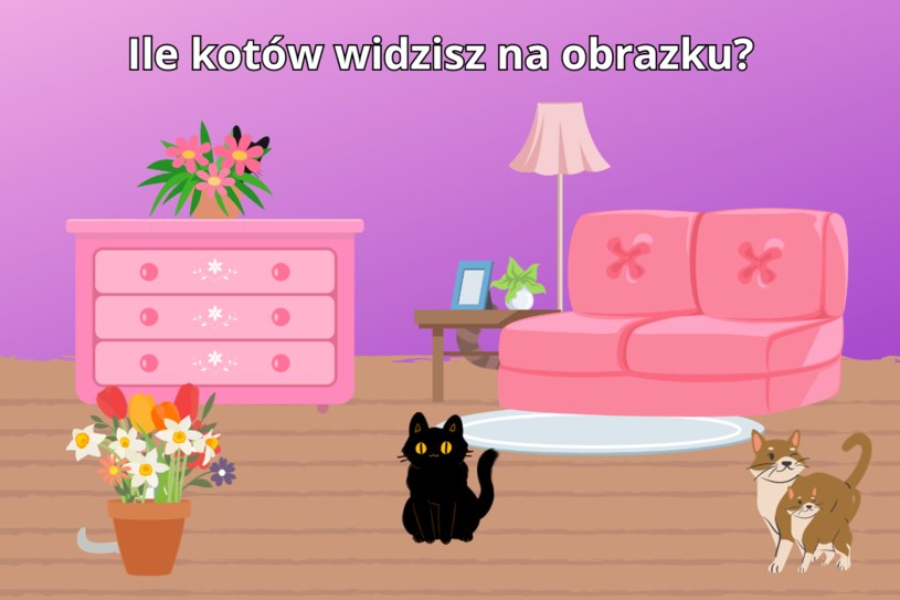 Test na spostrzegawczość. Ile widzisz kotów na obrazku? Na odpowiedź masz 10 sekund
