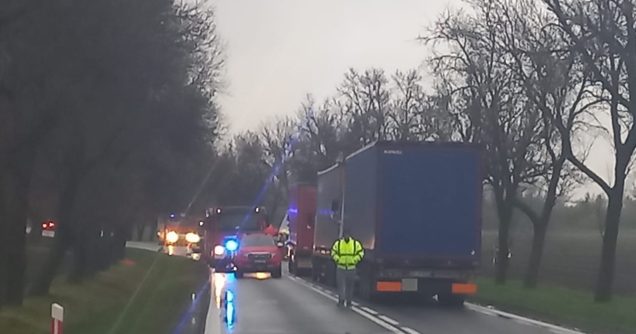 Trzy osoby zginęły w wypadku na Dolnym Śląsku. Wśród ofiar 7-latek