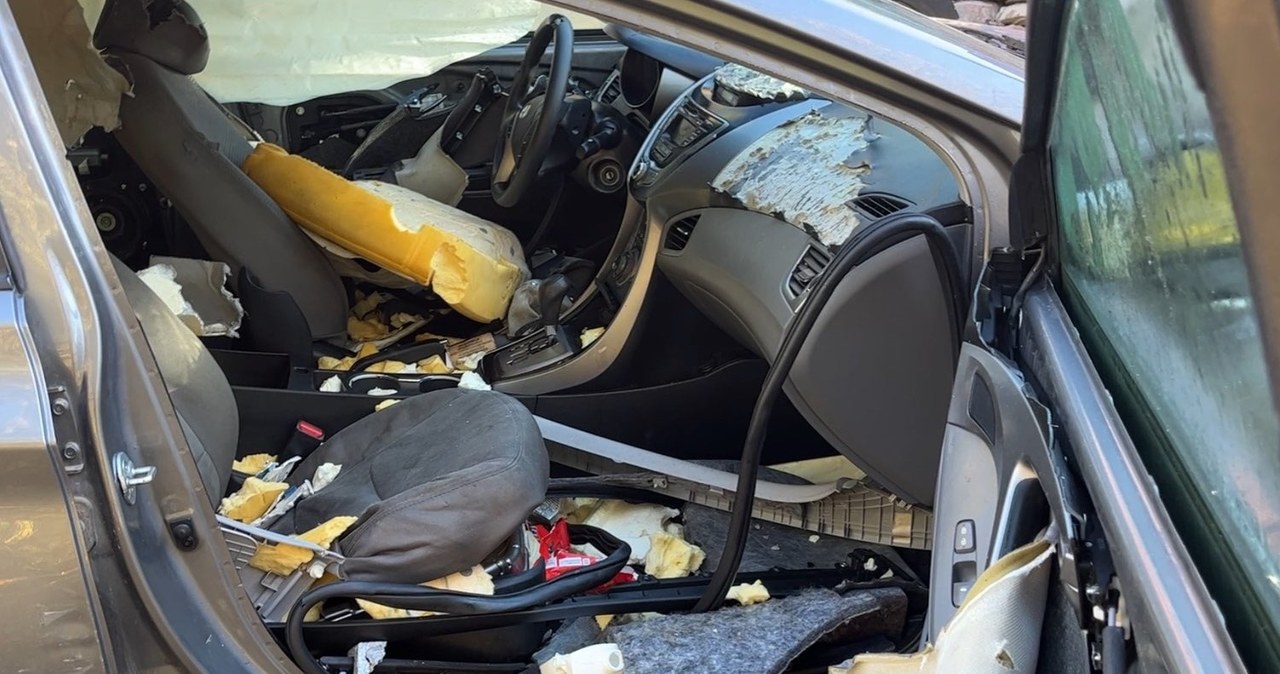 Niedźwiedź zatrzasnął się w samochodzie. Właścicielowi pozostawił „pamiątkę” [WIDEO]