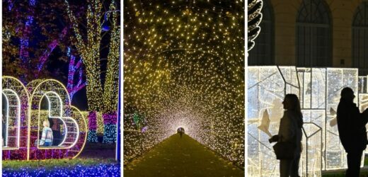 Najpiękniejsze ogrody świateł w Polsce. Te miejsca kuszą już kolorowymi iluminacjami