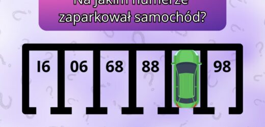 Test IQ: Na jakim numerze stoi auto? Aż 98% osób nie zna poprawnej odpowiedzi