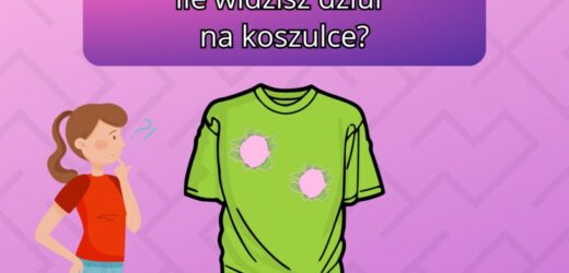 Test IQ, w którym należy użyć logicznego myślenia. Ile widzisz dziur na koszulce?