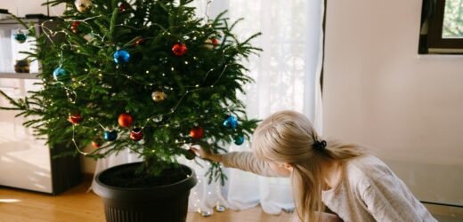 Podlej choinkę prostą miksturą. Będzie w pełnej krasie przez długi czas