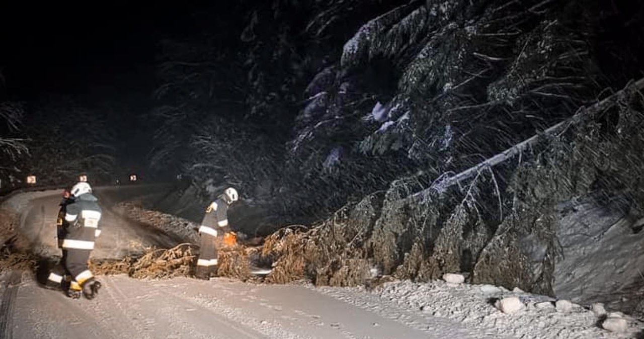 Podkarpackie: Wielu odbiorców wciąż bez prądu