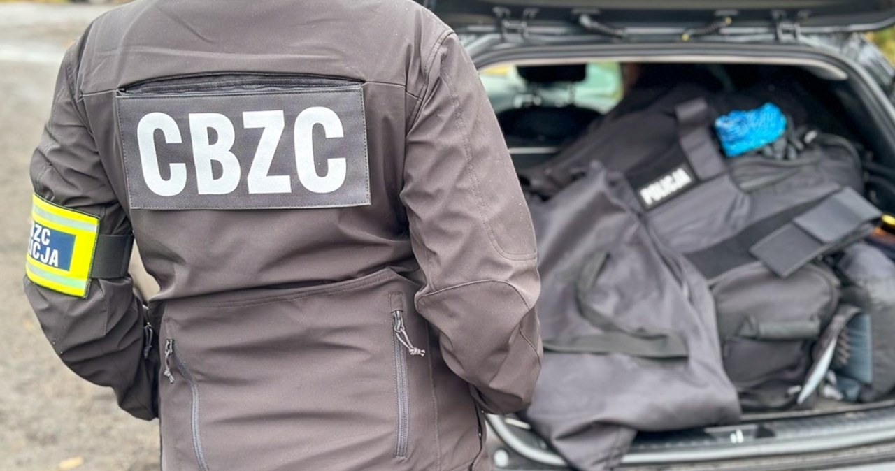 Rozbity gang oszustów, który oferował auta na sprzedaż