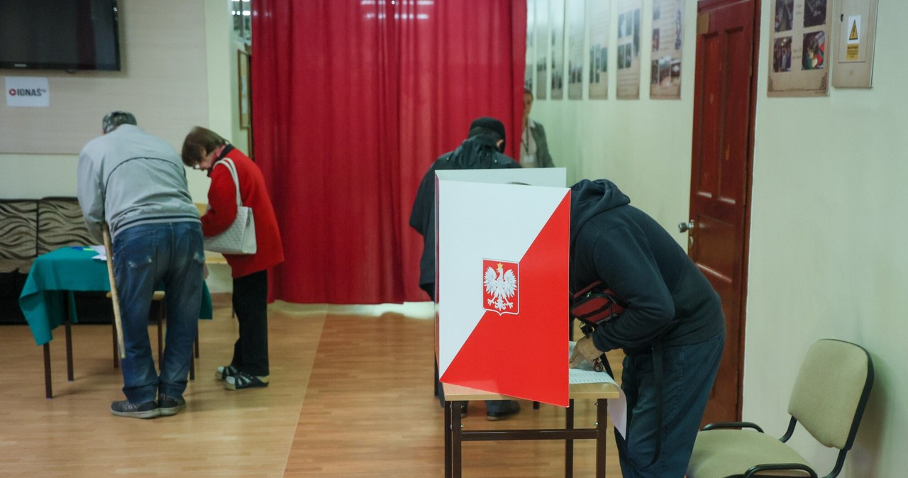 Srebrny Puchar Pytii dla firmy Opinia 24