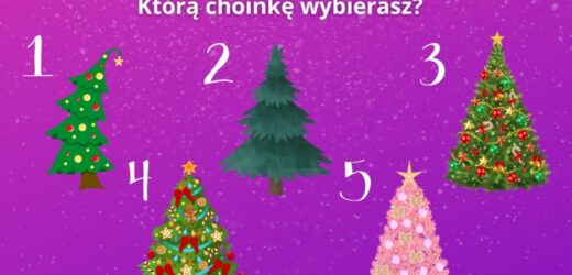 Mix świątecznych łamigłówek. Sprawdź, jaka jest twoja świąteczna osobowość