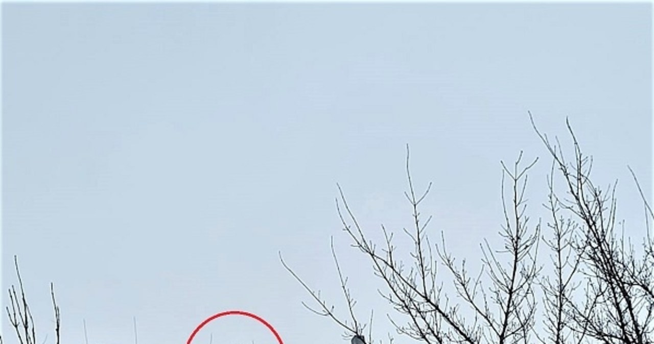 Uciekł przed policjantami na ośnieżony dach