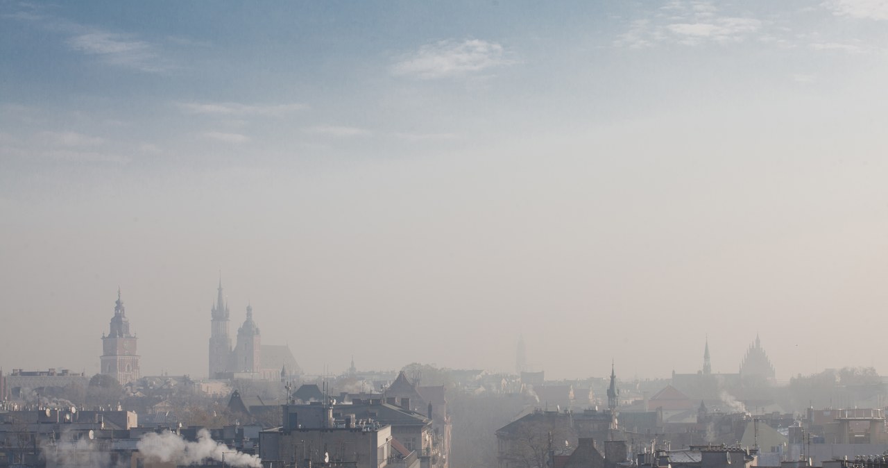 I Konferencja Antysmogowa dla nauczycieli i uczniów