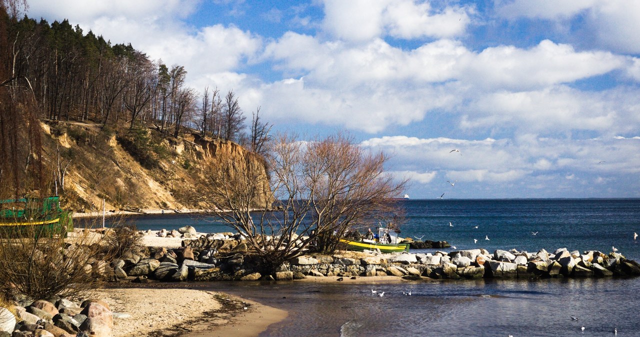 Makabryczne odkrycie na plaży w Gdyni Orłowie. Znaleziono ciało kobiety