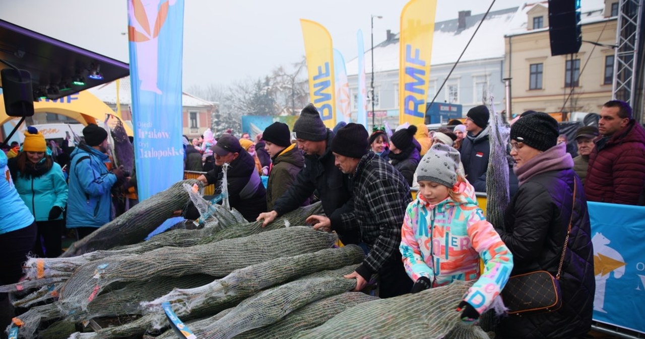 „Choinki pod choinkę od RMF FM i Małopolski”. Dziś Legnica i Leszno