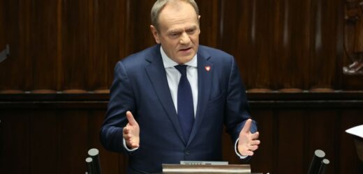 „Śmialiście się z babciowego, będzie babciowe”. Premier Donald Tusk zapowiada wprowadzenie nowego świadczenia