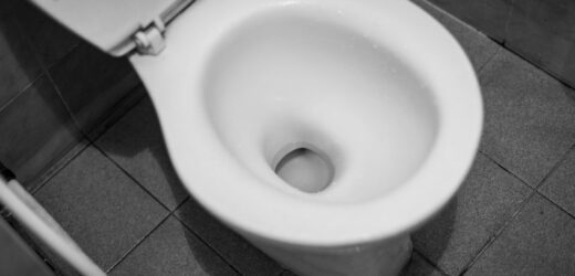 Trzy składniki i gotowe. Toaleta będzie przed świętami śnieżnobiała