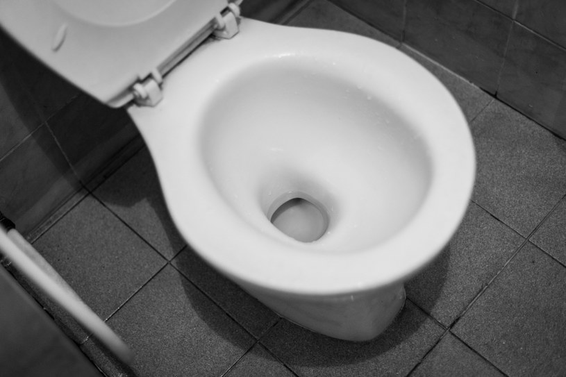 Trzy składniki i gotowe. Toaleta będzie przed świętami śnieżnobiała