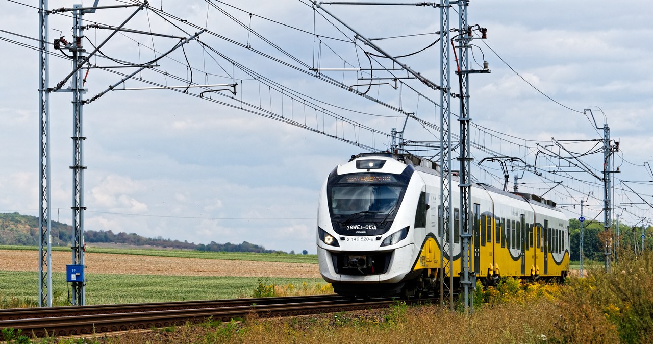 Drzewo spadło na sieć trakcyjną. Pasażerowie pozostawieni w szczerym polu