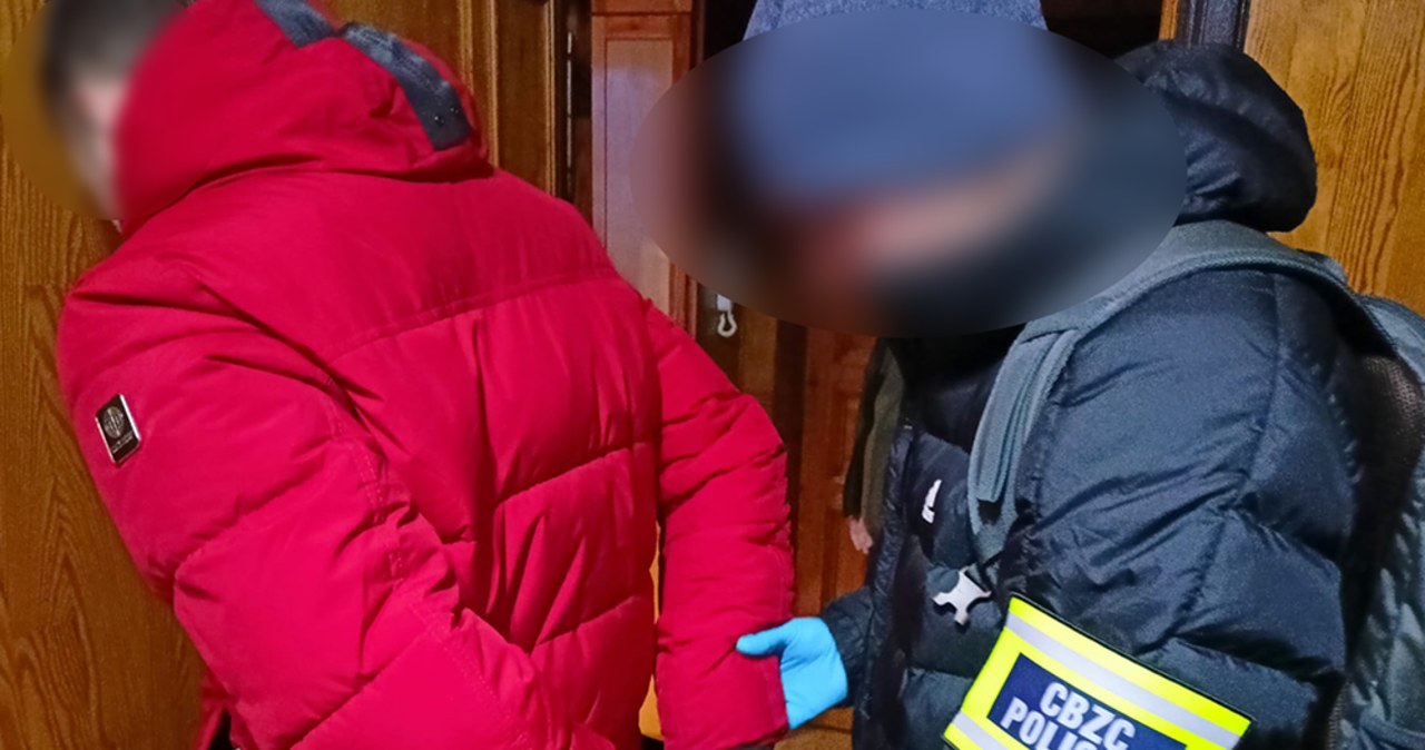 Oszukiwali na portalach zakupowych. Siedem osób zatrzymanych