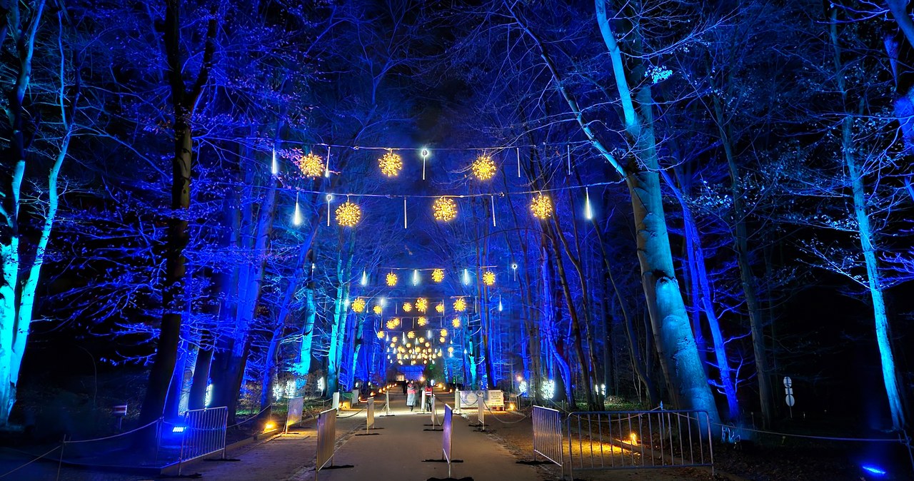 Ogród Botaniczny w Berlinie. Tysiące kolorowych lampek i iluminacji