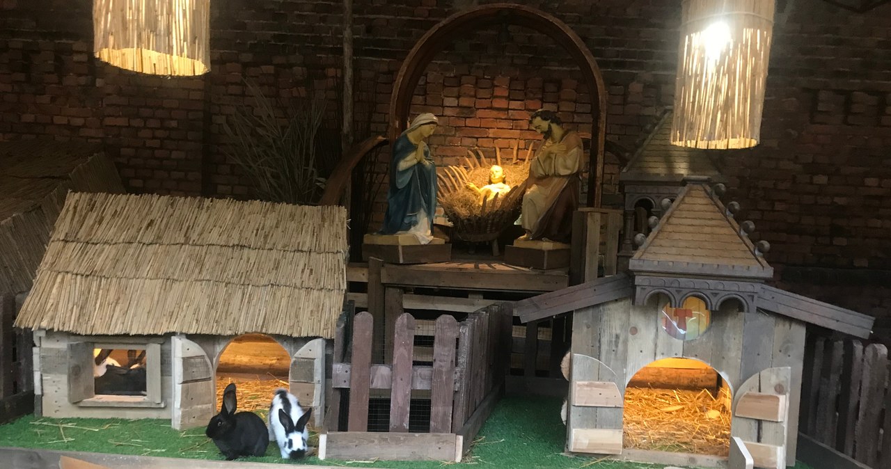 Stajenki u Franciszkanów w Katowicach-Panewnikach