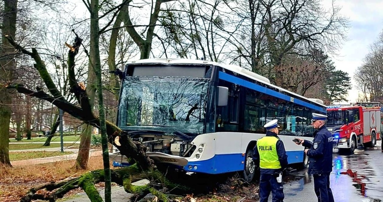 Autobus wbił się w drzewo. Pasażerom nic się nie stało