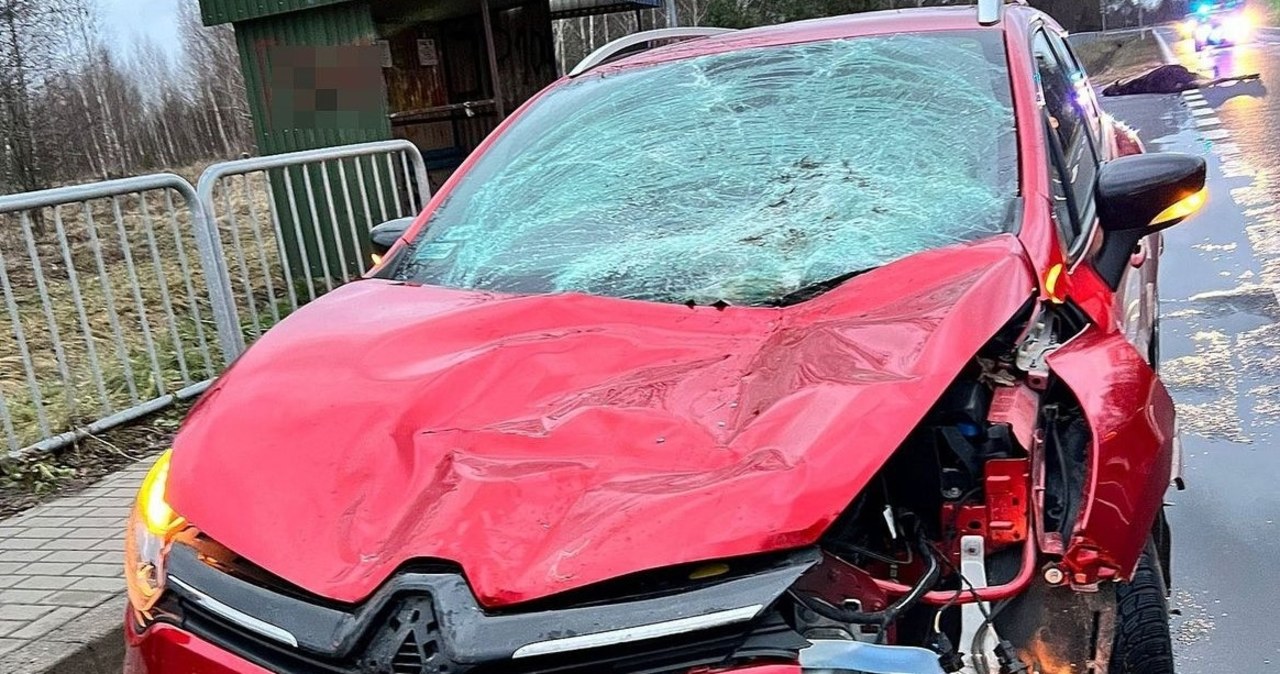 Auto osobowe zderzyło się z łosiem. Zwierzę zginęło